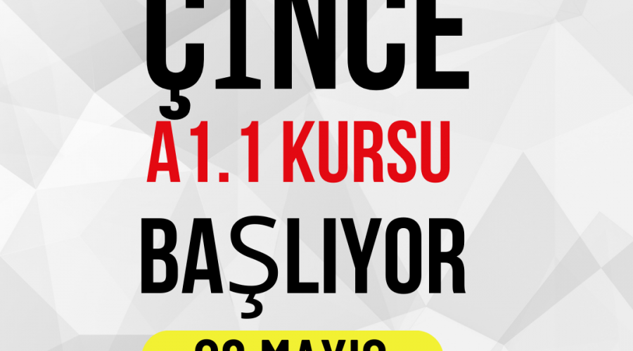 Çince kursları